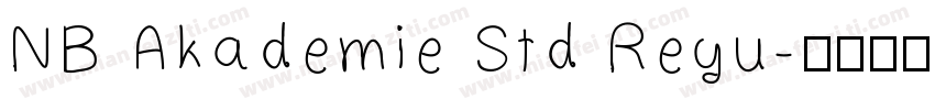 NB Akademie Std Regu字体转换